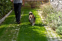 WATERPASSERENDE TEGEL - GRASSLINES BIG 58/39//12CM