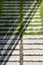WATERPASSERENDE TEGEL - GRASSLINES BIG 58/39//12CM