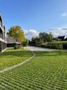 MARLUX - GRASBETONTEGEL MET GROEVEN GRIJS 60/40//12CM
