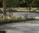DEER CONCRETE - GRID: BEACH
