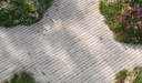 DEER CONCRETE - GRID: STRAIGHT