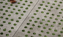 DEER CONCRETE - INDUSTRIAL: HALFTONE