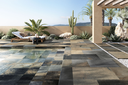 polychrome-project.webp
