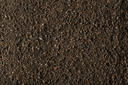 WEBSHOP_IMAGE_2-4203-600x400.webp