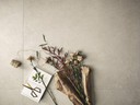 epernay-champagne.webp