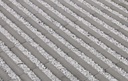 GRASSLINES SMALL GRIJS 25/25//10CM