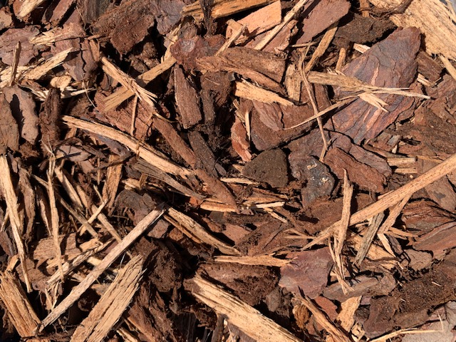 SCHORS SYLVESTER 15/25 (2m3)