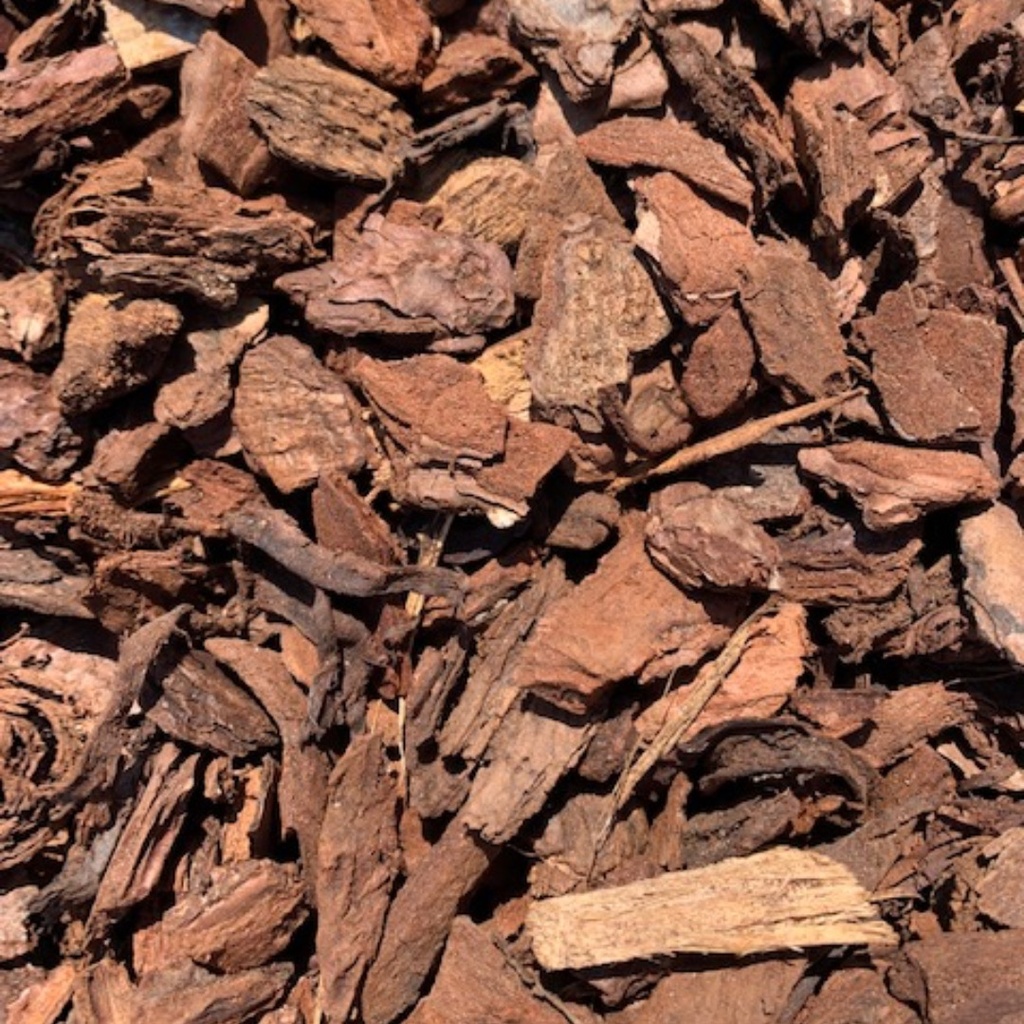 SCHORS PINUS MARITIMA 15/25 (2m3)