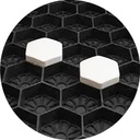 TAPIS DE GRAVIER GG34 INDICATION PARKING (DOOS VAN 26 ST.)