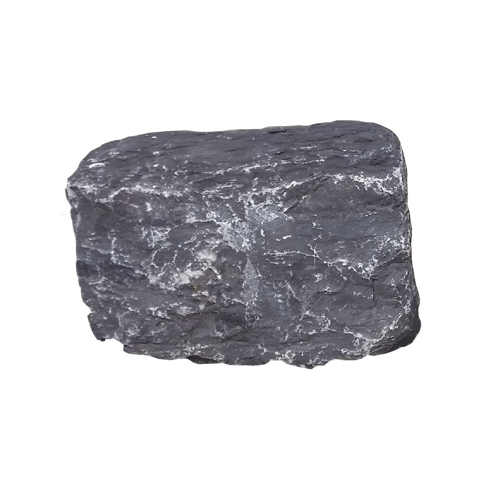 VONDELING (ZWERFKEI) BELGISCH BLAUW 