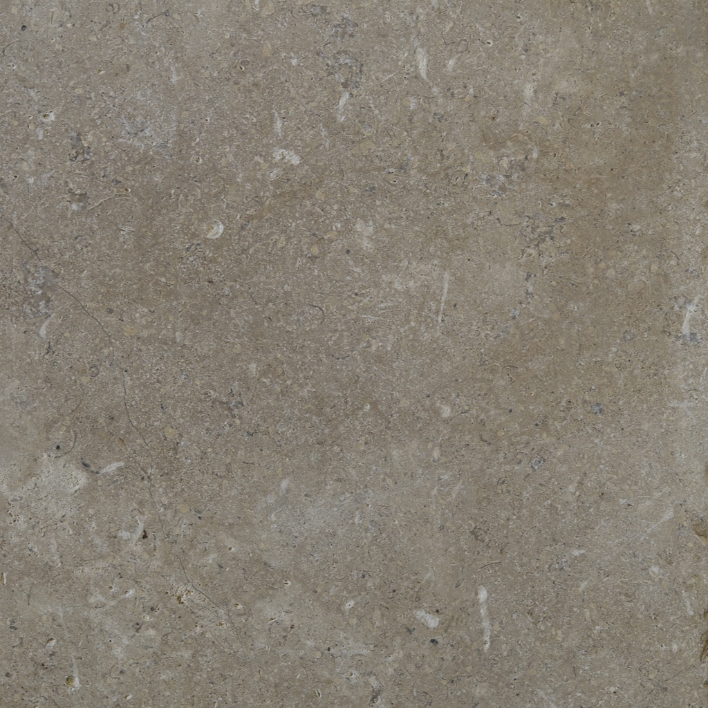 MUSIGNY GOTHIC (20/20//2CM)