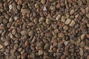 LAVA 2/8 (B11)