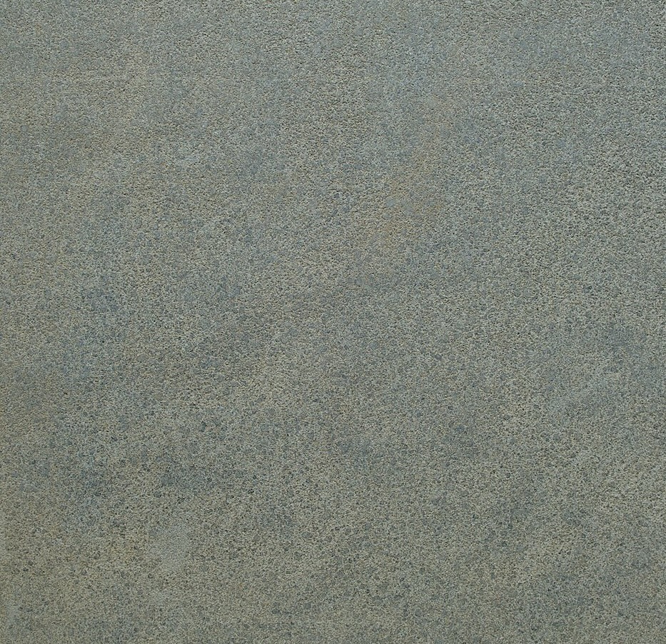 PANDA BLACK GEZANDSTRAALD