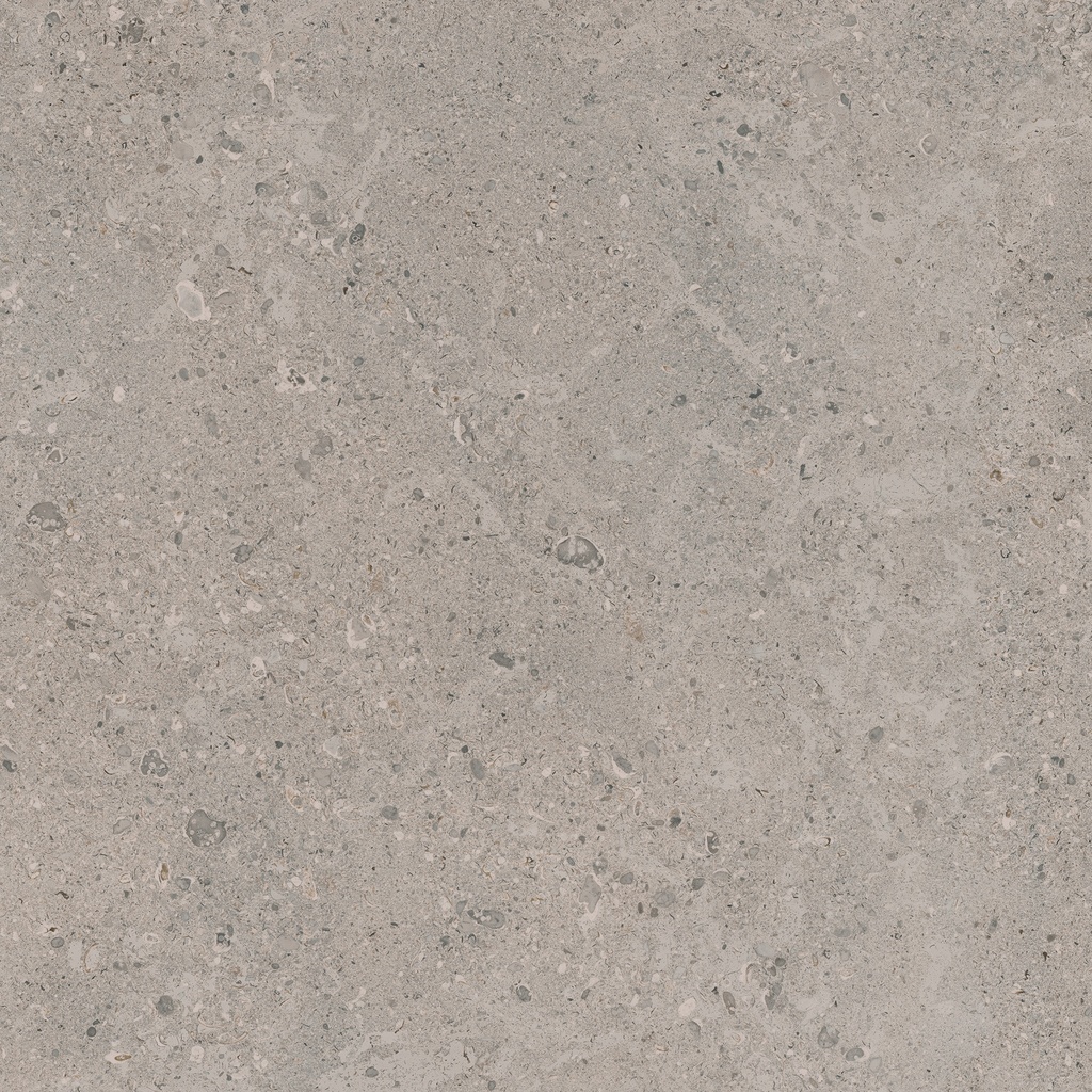 2CM MYSTONE GRIS FLEURY - 60/60//2CM