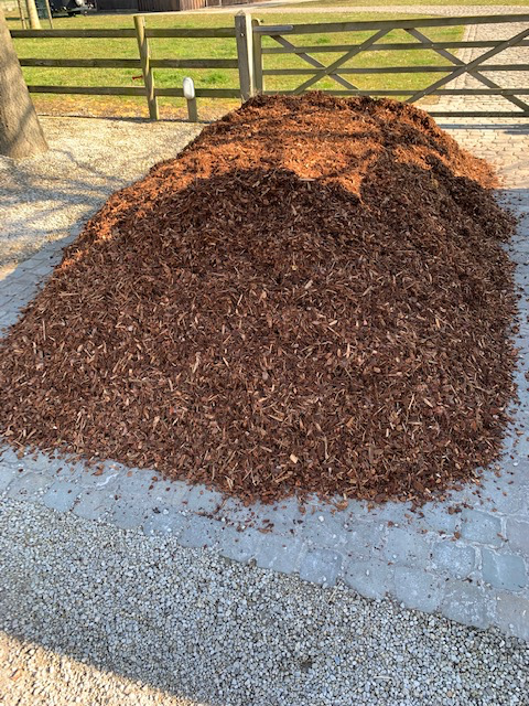 SCHORS SYLVESTER 8/15 - BIGBAG 1M3