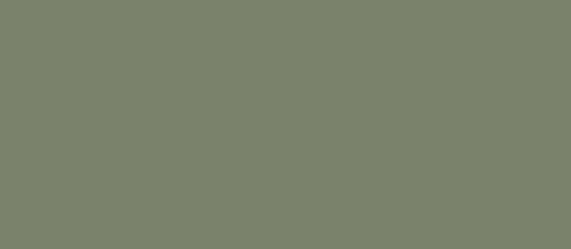 CIELO E TERRA - VERDE MAT