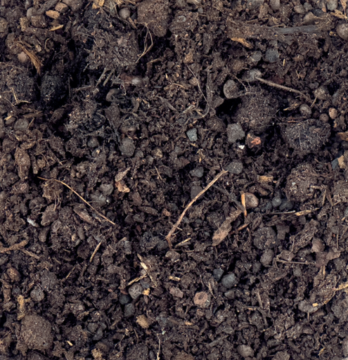 CREADAL+ GRASDALSUBSTRAAT INCL. GRASZAAD