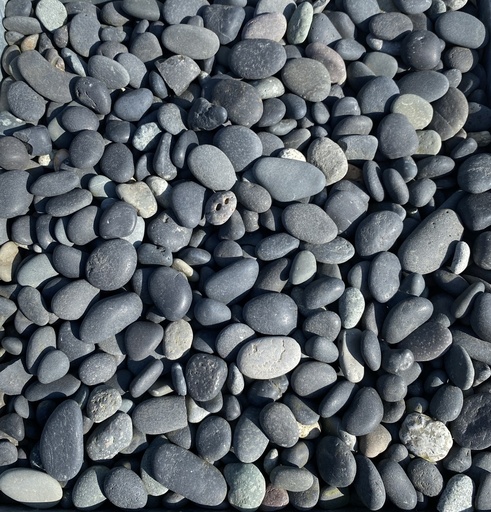 BLACK PEARL 5/8R (A19)