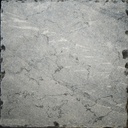 ASIAN BLUE VIEILLI (SCIÉ & TAMBOURINÉ)