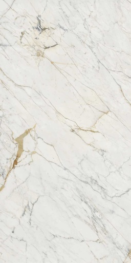 GOLDEN WHITE SATIN